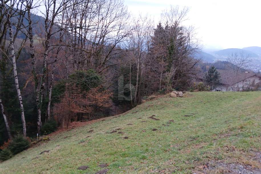 SONNIG MIT HERRLICHEM BLICK AUF DIE BERGE, Grund und Boden-kauf, 150.000,€, 6832 Feldkirch