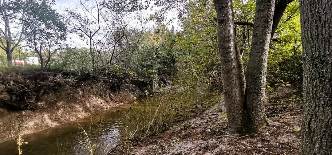 IDYLLISCHE LAGE MIT ZUGANG ZU BACHLAUF