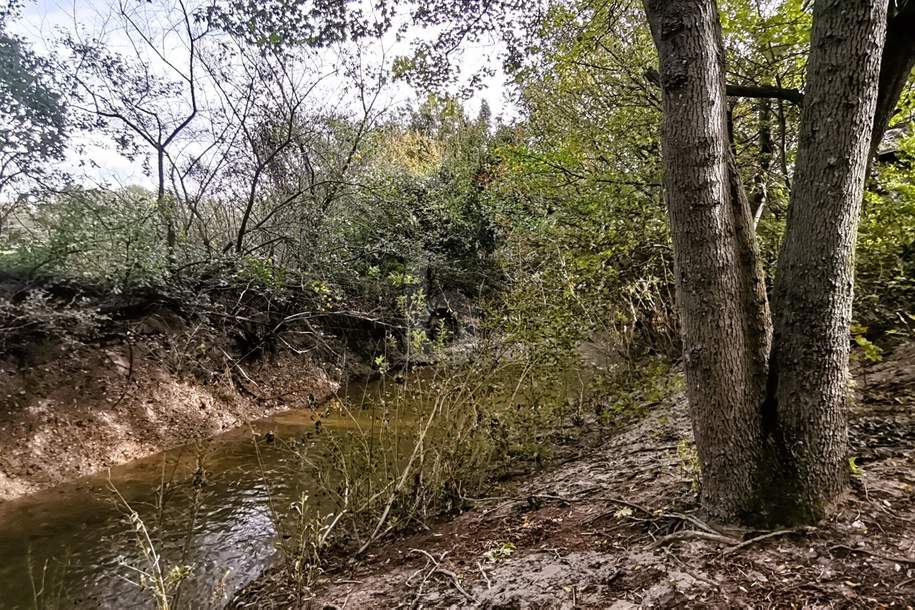 IDYLLISCHE LAGE MIT ZUGANG ZU BACHLAUF, Grund und Boden-kauf, 332.000,€, 2602 Baden