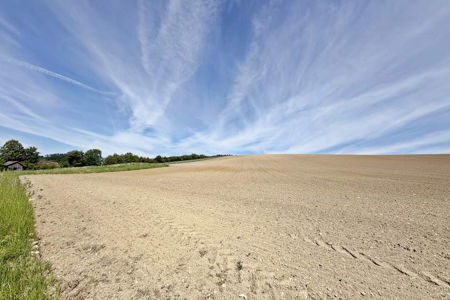 Attraktives Projektgrundstück mit Entwicklungspotenzial, Grund und Boden-kauf, 1.500.000,€, 4632 Wels-Land