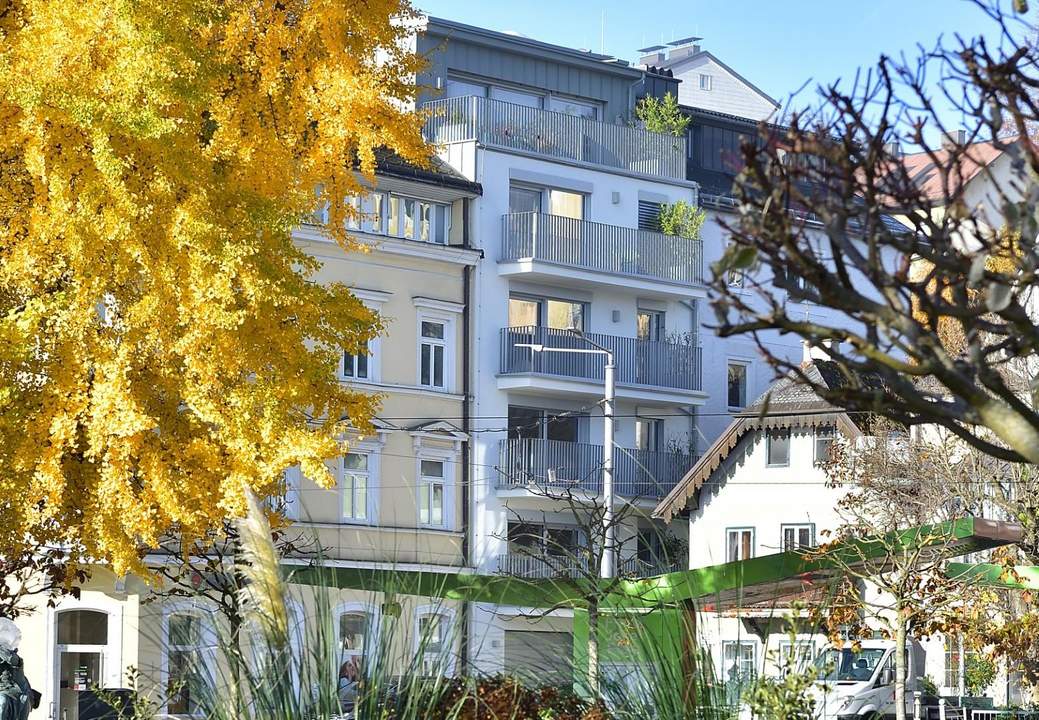 Ankommen. Genießen. Loslassen. - Drei kernsanierte Stadtwohnungen mit Seeblick