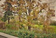 Bad´ner Wohnung: eine coole- gleich um´s Eck der Fachhochschule!