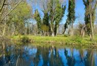 Viel Raum im Paradies