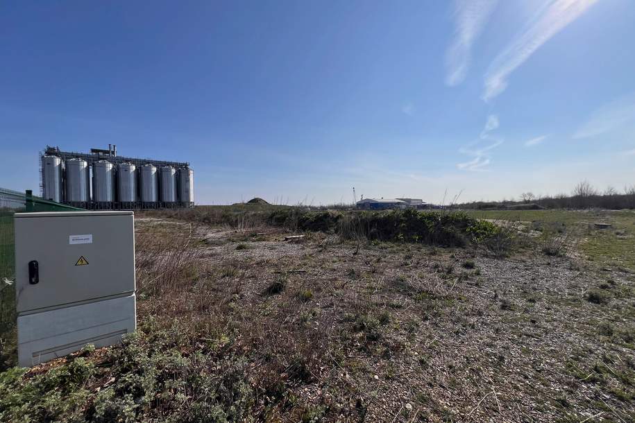 Industriegrundstück in 2473 Potzneusiedl, Twin-City-Businesspark, Kauf oder Miete (Provisionsfrei), Grund und Boden-legalform.pacht, 8.000,00,€, 2473 Neusiedl am See