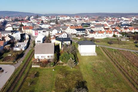 Baugrund am Ortsrand von Jois, Grund und Boden-kauf, 350.000,€, 7093 Neusiedl am See