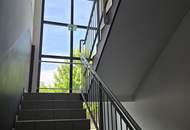 Attraktive 36m² oder 80m² große Büro- oder Geschäftsfläche im EK-West in Amstetten/Greinsfurth zu MIETEN