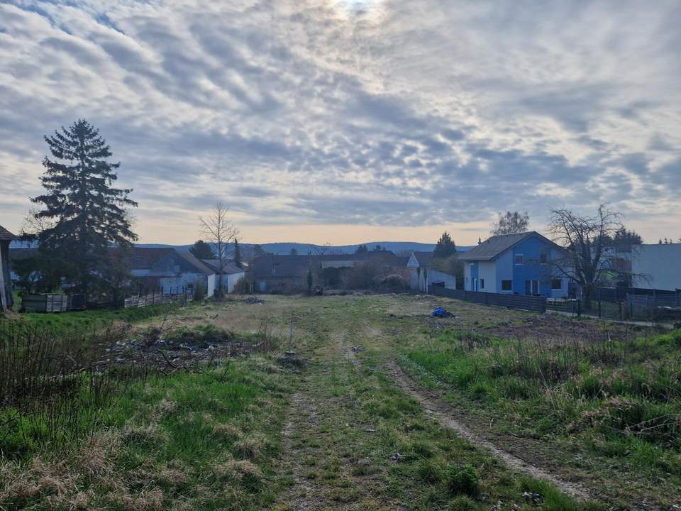 EIN TRAUM WIRD REALITÄT: AUSSERGEWÖHNLICHES BAUGRUNDSTÜCK IN TRAUMHAFTER RUHELAGE VON RÜCKERSDORF OHNE BAUZWANG - IHR TRAUMGRUNDSTÜCK WARTET AUF SIE