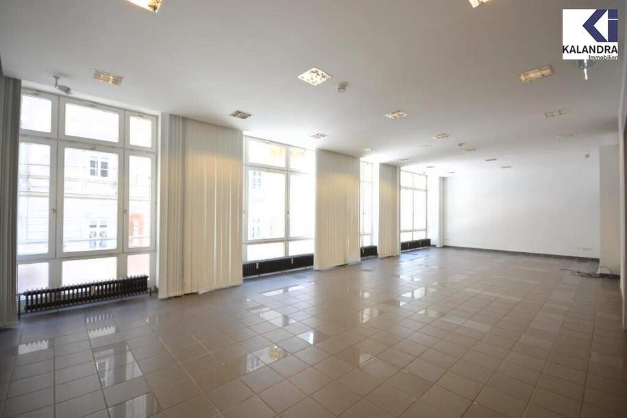 360 TOUR // REPRÄSENTATIVES ALTBAUBÜRO nächst STEPHANSDOM, Gewerbeobjekt-miete, 5.940,60,€, 1010 Wien 1., Innere Stadt