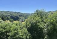 Entzückendes Bauernhaus in Ruhelage.... das, was alle suchen :-)