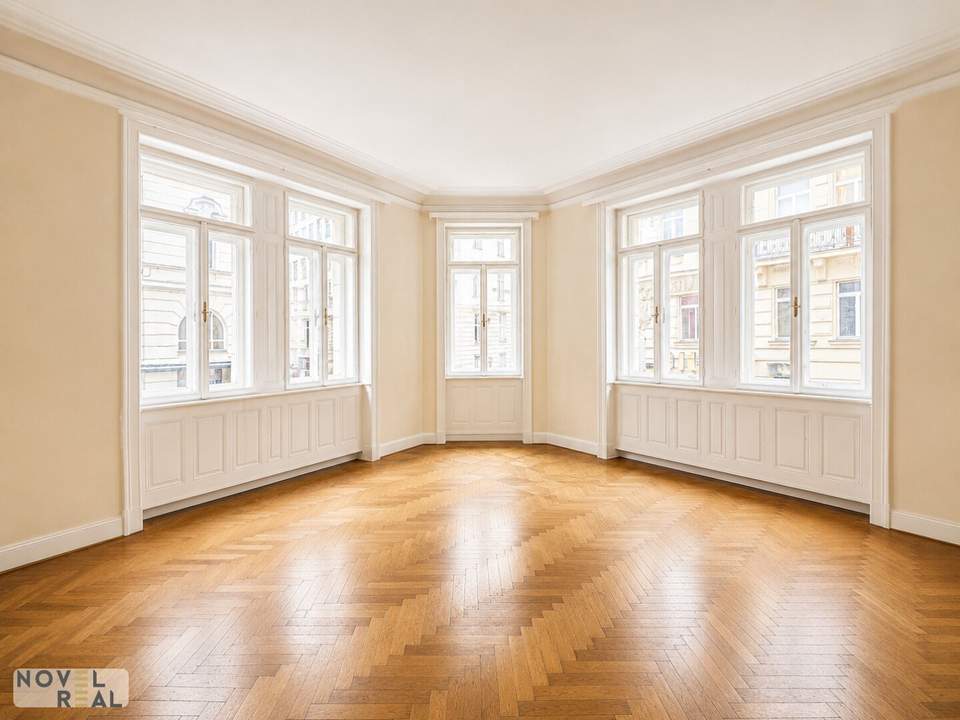 Altbaucharme im Herzen Wiens-Wohnung-Praxis-Büro