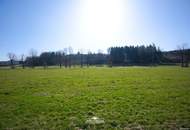 Leistbares Baugrundstück mit Altbestand (Doppelgarage)