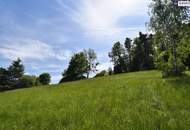 Natur, Ruhe, Ausblick: Traumgrundstück in begehrter Wohnlage von Graz-St. Veit