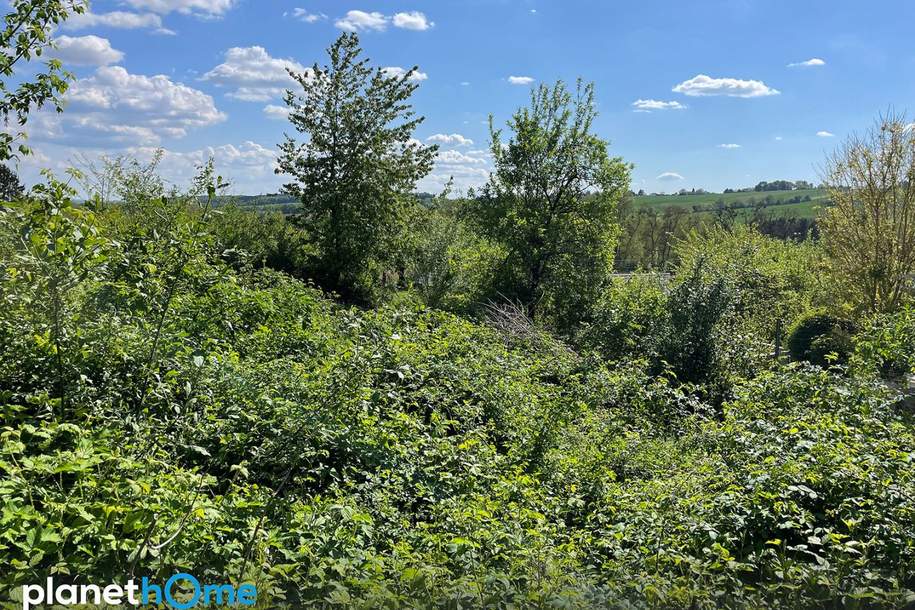 Baugrund in Aussichtslage!, Grund und Boden-kauf, 40.000,€, 7461 Oberwart