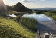 Loftwohnung mit Garten, Terrasse und Schwimmteich : naturnah und außergewöhnlich.
