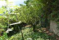 Charmantes Einfamilienhaus mit großem Naturgarten, Gewölbekeller und herrlichem Ausblick