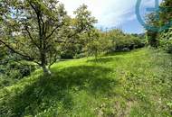 GELEGENHEIT IM PARADIES (kein Bauland)