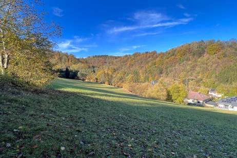 Großes an Bauland grenzendes Grünland-Grundstück bei Emmersdorf!, Grund und Boden-kauf, 117.705,€, 3644 Melk