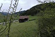 Haus mit Stall, Wiese und Wald in Etmißl