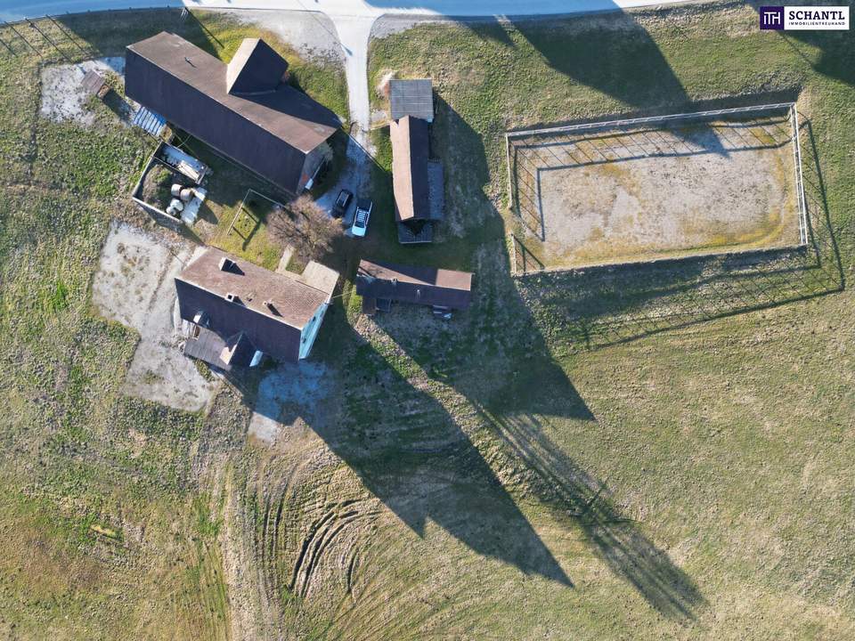 HISTORISCHER HOF IN DER GRÜNEN STEIERMARK: Ein Platz für große Pläne – von Landwirtschaft bis Pferdeparadies