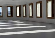 ROBIN Seestadt - Innovative Büroflächen in Wiens modernstem Stadtquartier