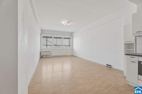 Laurenzi am Fluss- Wohnen und Arbeiten mit Weitblick!, Gewerbeobjekt-kauf, 349.000,€, 1010 Wien 1., Innere Stadt