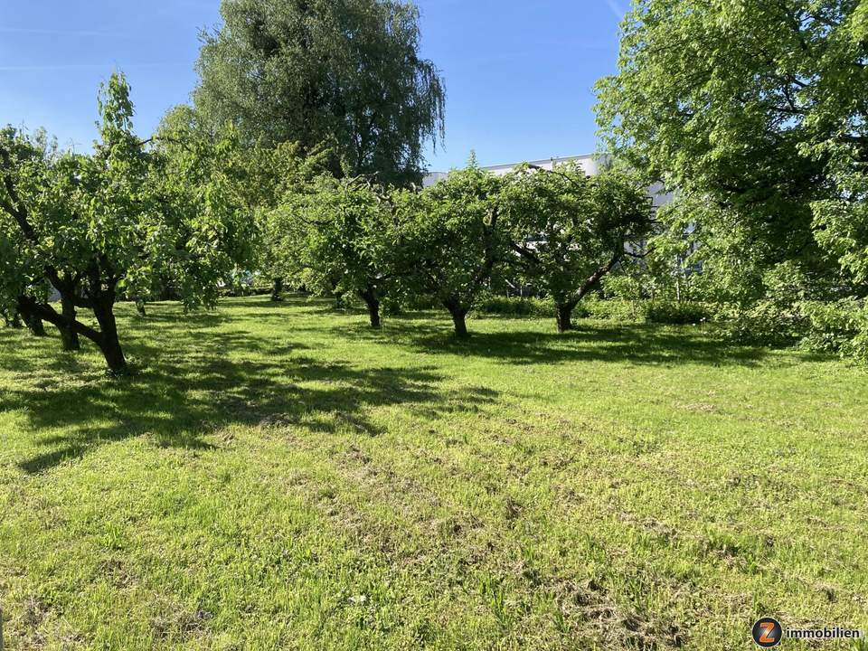 Zentrum Oberwart: Bauland-Geschäftsgebiet
