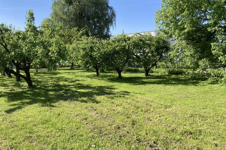 Zentrum Oberwart: Bauland-Geschäftsgebiet, Grund und Boden-kauf, 262.600,€, 7400 Oberwart