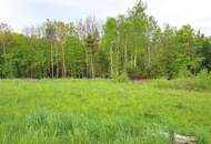 Holzschlag: Baugrundstück mit kleinem Wald in Traumlage!