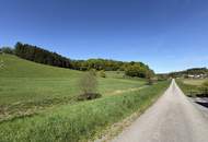 Besonderes Haus in idyllischer Lage: 6,4 ha Anwesen für Ruhesuchende mit Weitblick und Natur pur!
