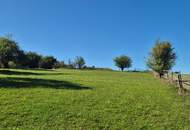 Wunderschöner Dreikanthof in Ruhelage mit Reithalle