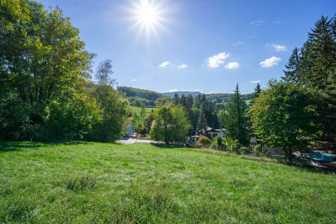 Außergewöhnliche Grundstückskombination: Sonniger Bauplatz mit 4,1 ha Grünland in Rekawinkel