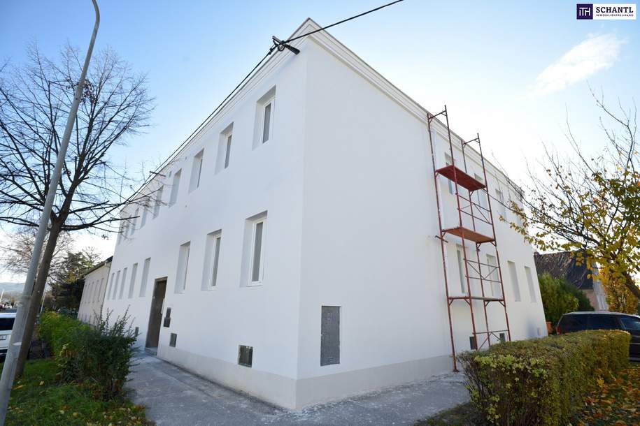 Attraktiver Rohdachboden mit Baugenehmigung in top Lage!, Gewerbeobjekt-kauf, 130.000,€, 2100 Korneuburg