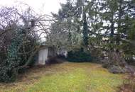 Bastlerhit mit großem Garten - ruhig in einer Sackgasse gelegen