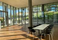 Parkapartements Belvedere: Moderne Wohnung mit Balkon und Garagenplatz! Grenze 1030!