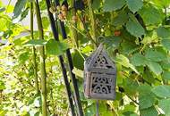 GARTENPARADIES MIT EINFAMILIENHAUS-FLAIR!