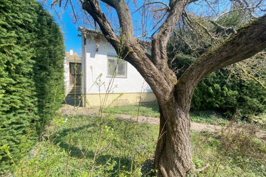 Grundstück mit voll unterkellertem Abrisshaus in ruhiger Wohngegend, Haus-kauf, 398.000,€, 1220 Wien 22., Donaustadt