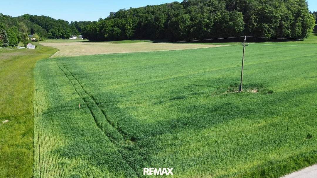Sonniges Grundstück in Alleinlage