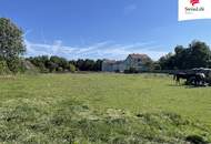 Gols | Baugrundstück in Top-Lage | 5.000 m²