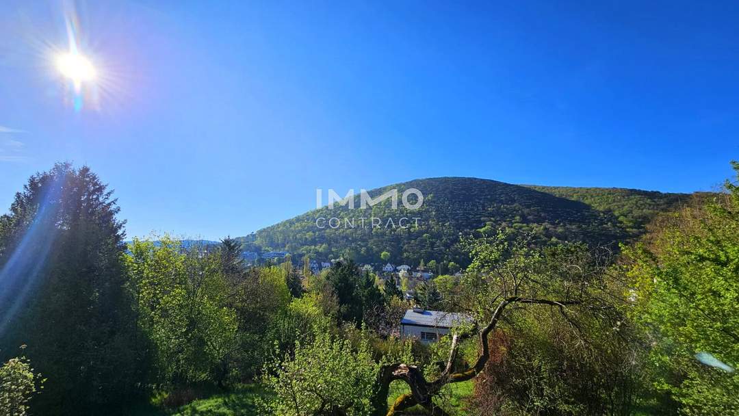 Ausblick - Ruhe - Natur - Design - Stil: Lichtdurchflutetes Architektenhaus mit Bestausstattung
