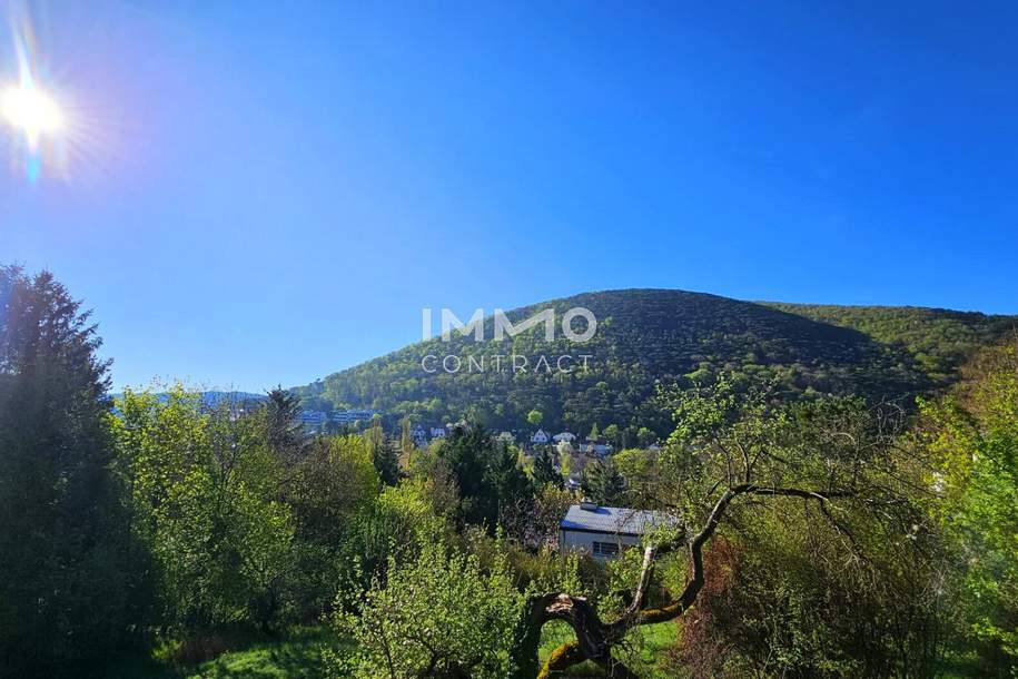 Ausblick - Ruhe - Natur - Design - Stil: Lichtdurchflutetes Architektenhaus mit Bestausstattung, Haus-kauf, 2371 Mödling