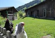 Gelegenheit! Bauernhaus in idyllischer Lage in Bruck an der Großglocknerstraße