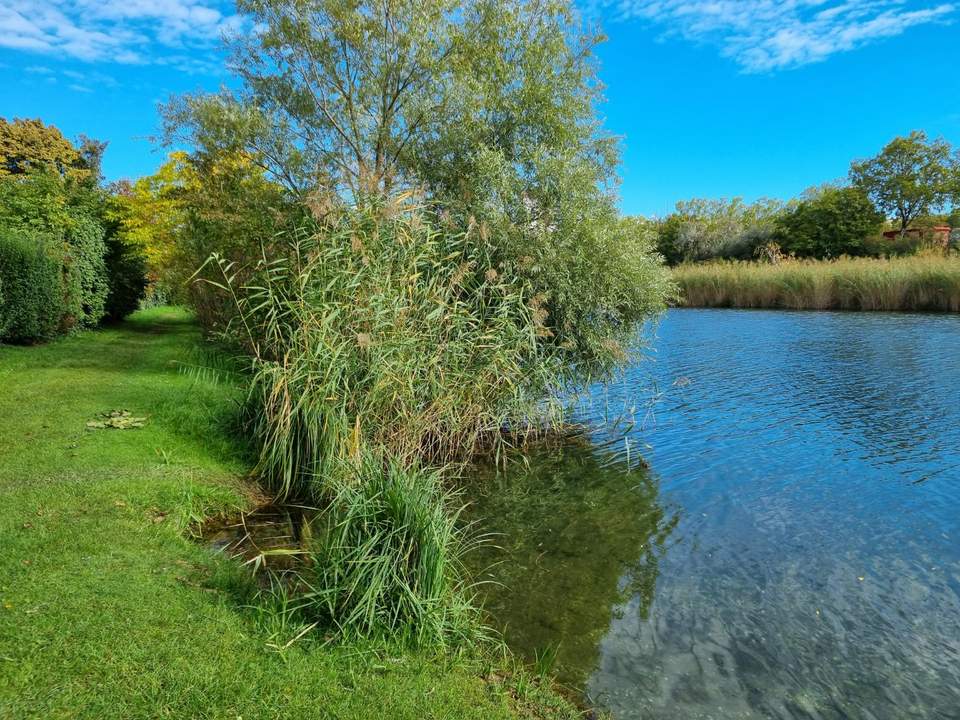 Oberes Mühlwasser - unbebautes, ebenes Grundstück!