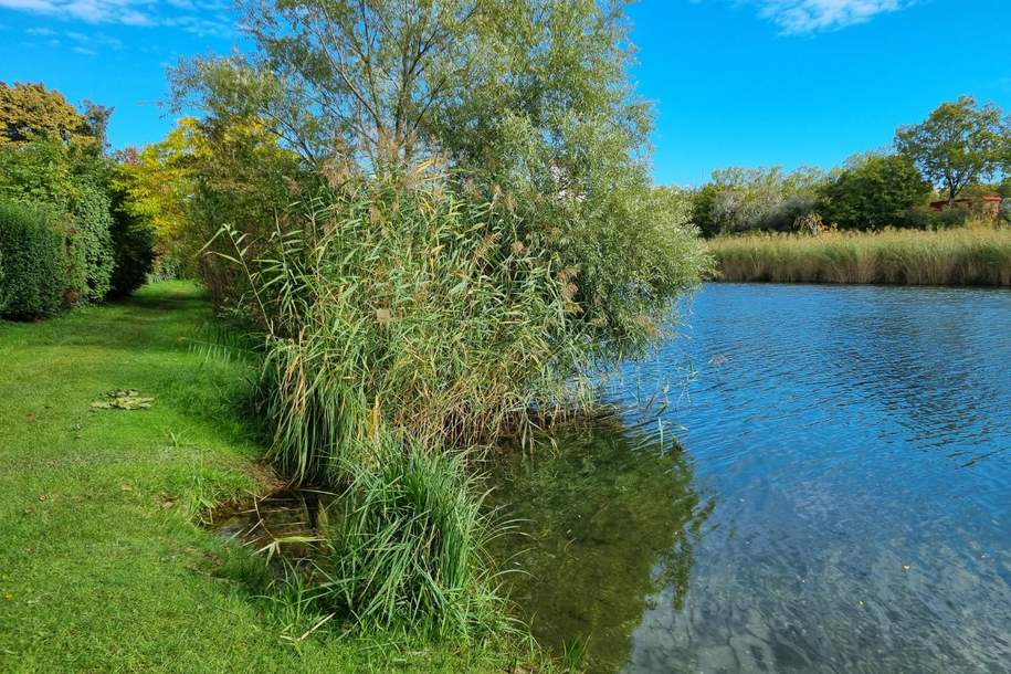 Oberes Mühlwasser - unbebautes, ebenes Grundstück!, Grund und Boden-kauf, 649.000,€, 1220 Wien 22., Donaustadt