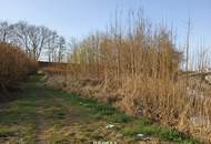 Baugrundstück in Kobernaußen ohne Bauzwang