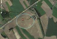 Grünland FÜR Ackerbau mit einer leichten Widmungsfantasie 17 Hektar