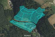 Refugium in Waldrandlage – Wohnen und Vermieten in der Wachau in Goßam