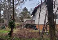 "Einfamilienhaus mit großem Garten und Altbaumbestand"