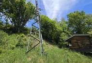 Sonniges Baugrundstück + Waldfläche Natur. Ruhe. Freiheit. – Ihr Grundstück in Untertweng!