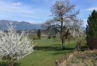 Sanierungsbedürftiges Mehrfamilienhaus mit großem Baugrundstück