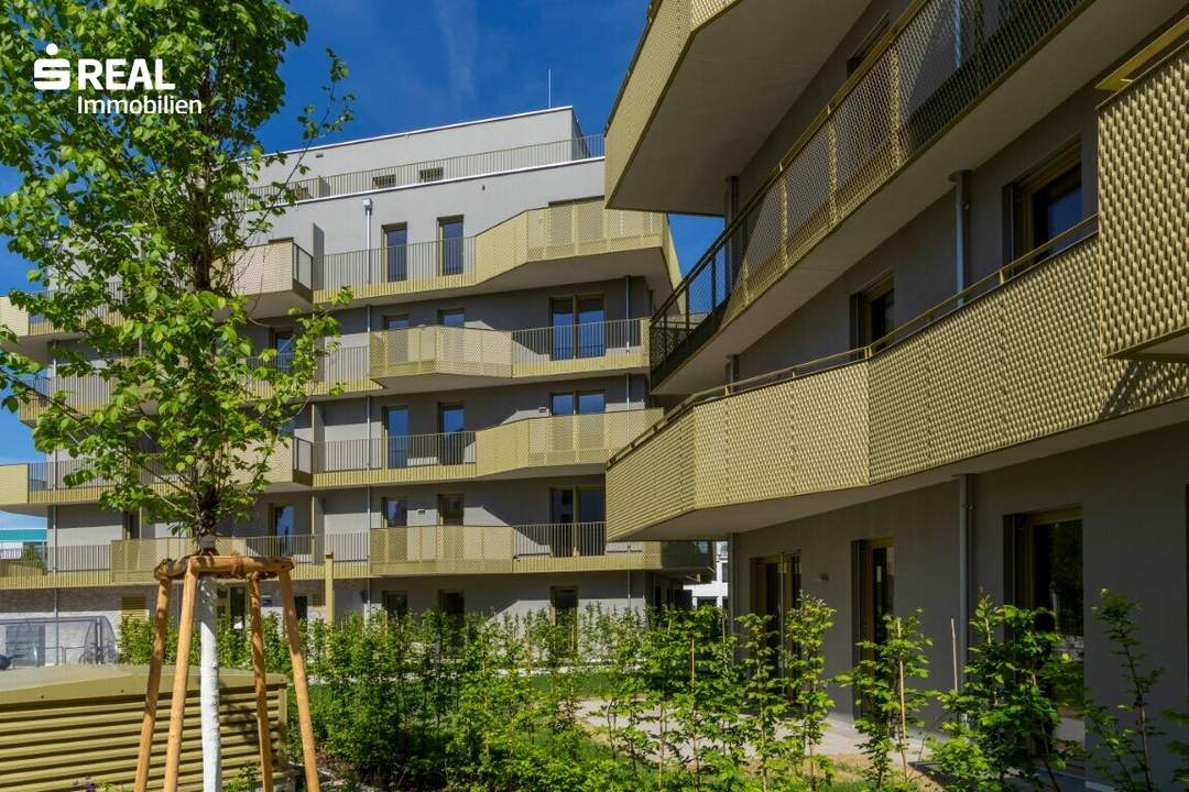 Hirschfeld - Ihr neues Zuhause im Grünen - anfragen, besichtigen, einziehen - 41 bis 96 m²